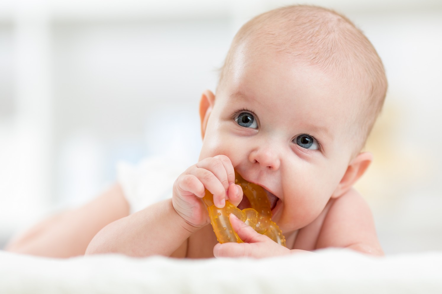 shutterstock_326481155